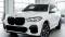 2019 BMW X5 in Marietta, GA 2 - Open Gallery