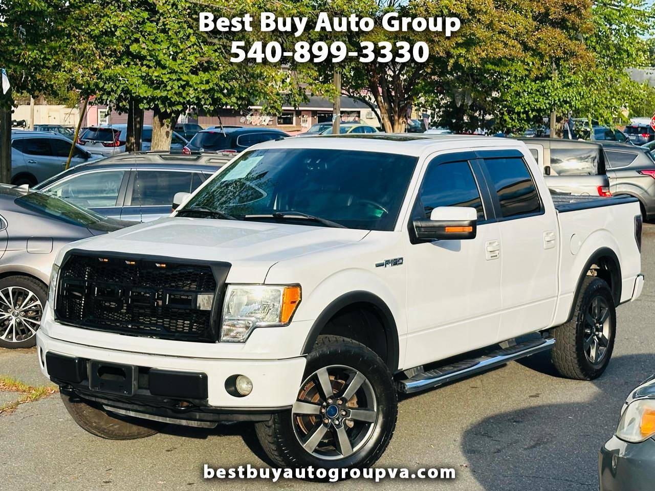 2010 Ford F-150 FX4 — Pickup Truck — 136,000 mi — Fredericksburg, VA