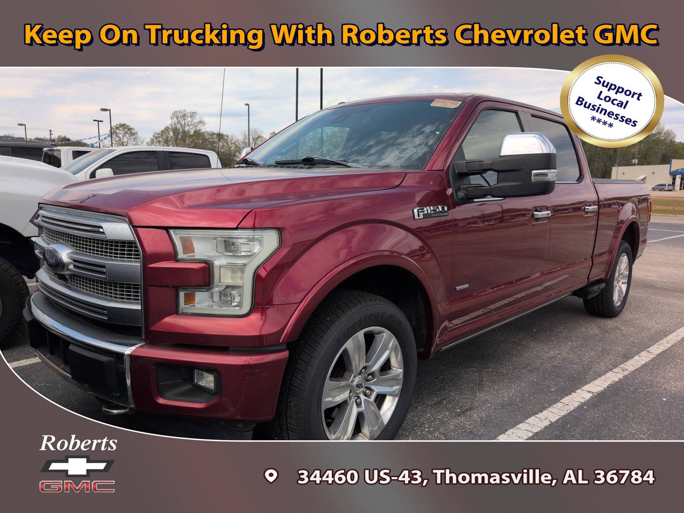 2017 Ford F-150 Platinum — Pickup Truck — 101,611 mi — Thomasville, AL
