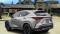 2024 Lexus NX in San Antonio, TX 3 - Open Gallery
