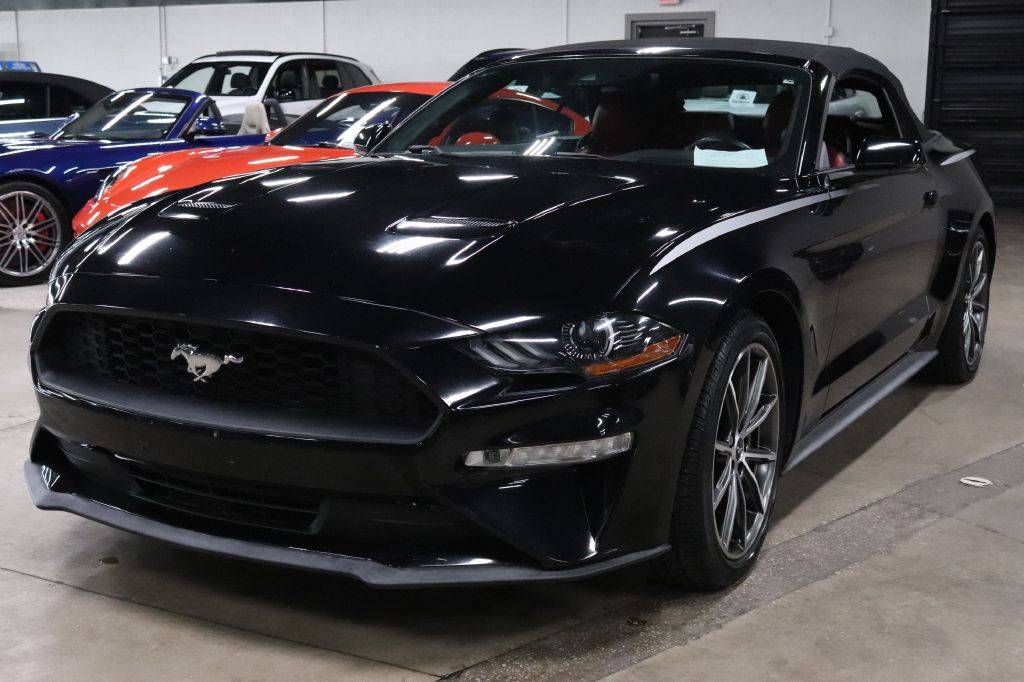 2019 Ford Mustang EcoBoost Premium — Convertible — 49,753 mi — Tampa, FL