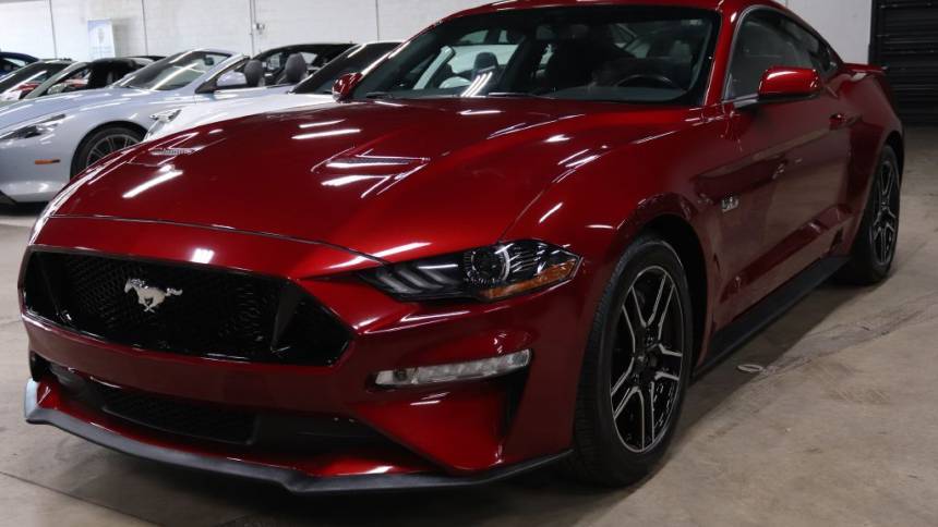 2019 Ford Mustang GT — Coupe — 10,998 mi — Tampa, FL