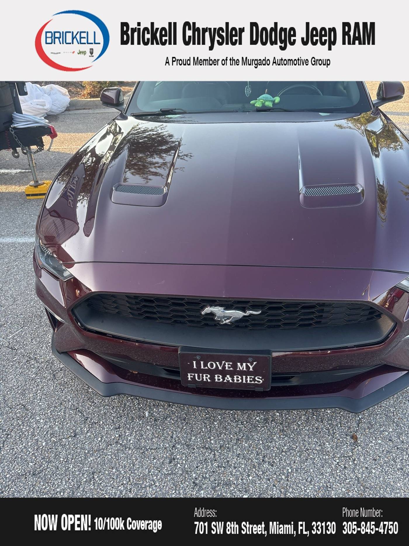 2018 Ford Mustang EcoBoost Premium — Convertible — 58,093 mi — Miami, FL