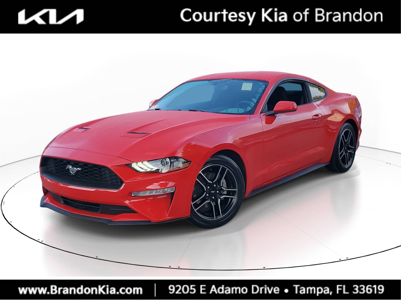 2020 Ford Mustang EcoBoost — Coupe — 43,260 mi — Tampa, FL
