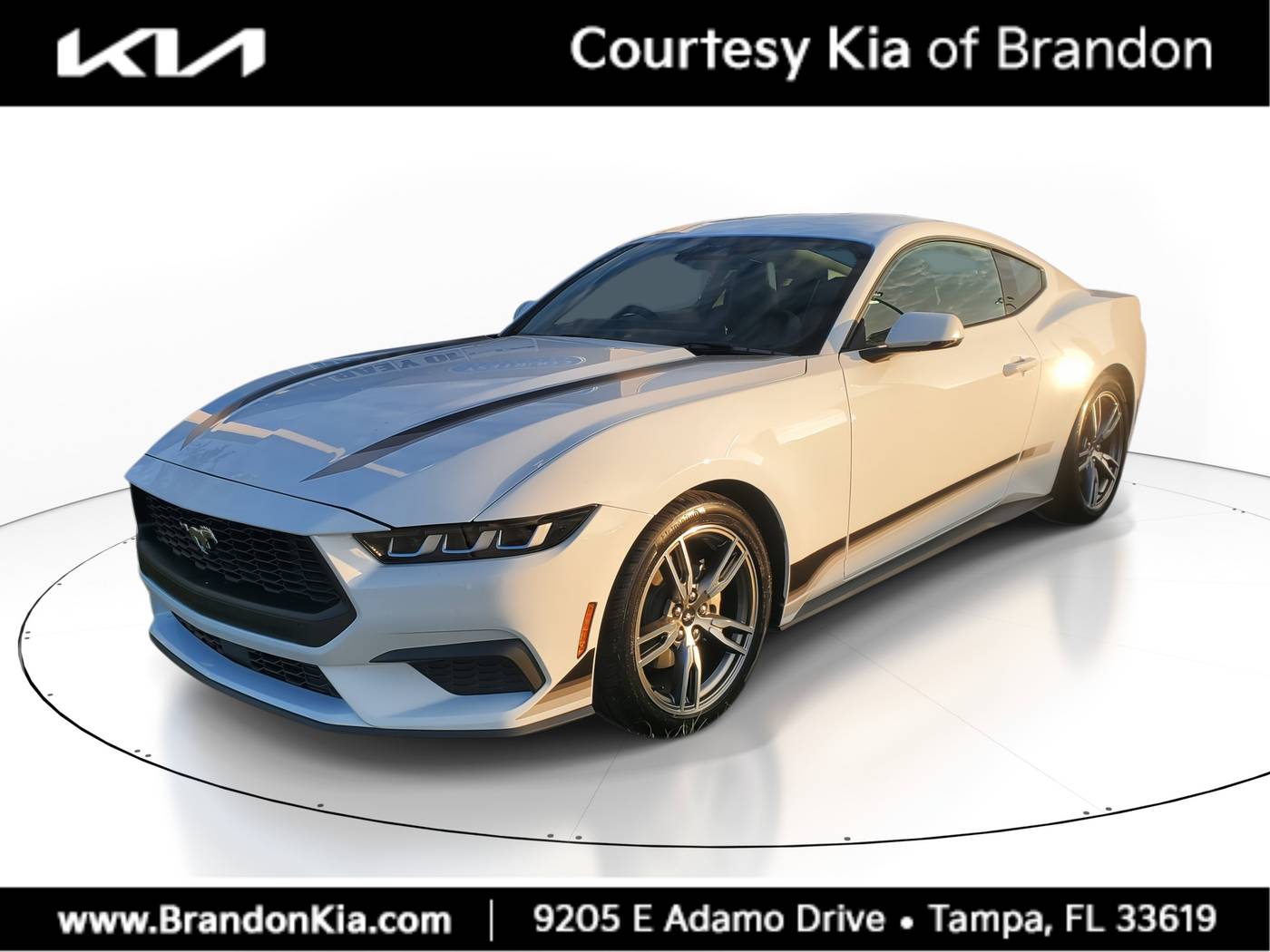 2024 Ford Mustang EcoBoost Premium — Coupe — 4,920 mi — Tampa, FL