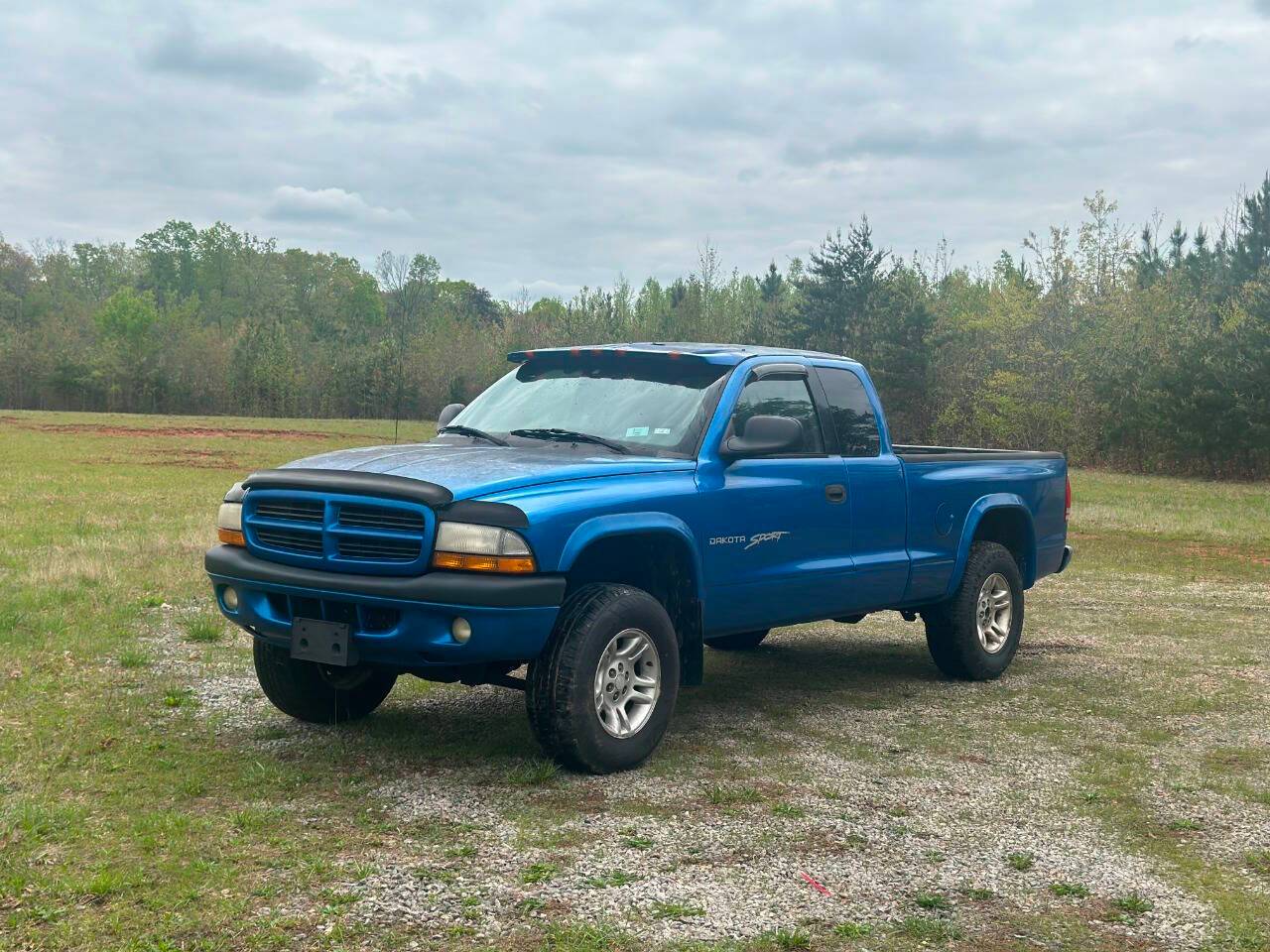 2001 Dodge Dakota Base — Pickup Truck — 123,495 mi — Reidsville, NC