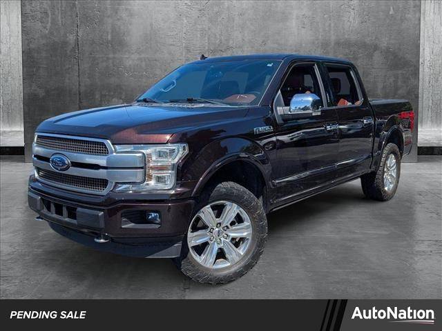 2019 Ford F-150 Platinum — Pickup Truck — 140,625 mi — Panama City, FL