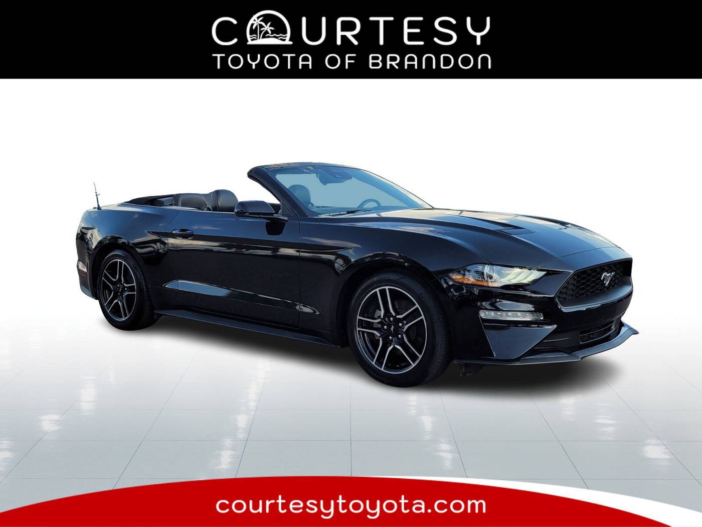 2023 Ford Mustang EcoBoost Premium — Convertible — 53,660 mi — Tampa, FL