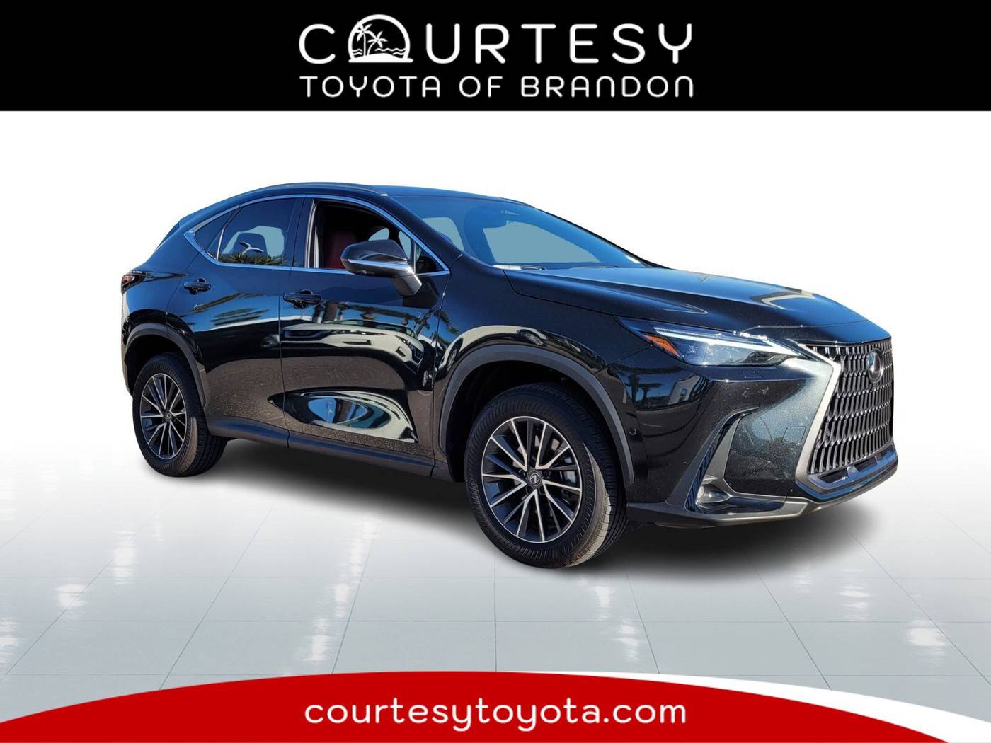 2025 Lexus NX NX 350h Luxury — SUV — 11,355 mi — Tampa, FL