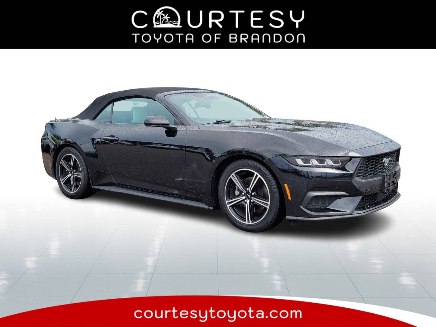 2024 Ford Mustang EcoBoost Premium — Convertible — 51,128 mi — Tampa, FL