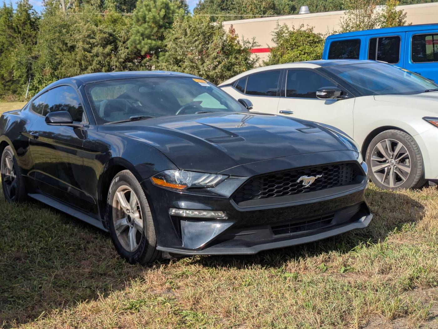 2019 Ford Mustang EcoBoost — Coupe — 79,520 mi — Siler City, NC