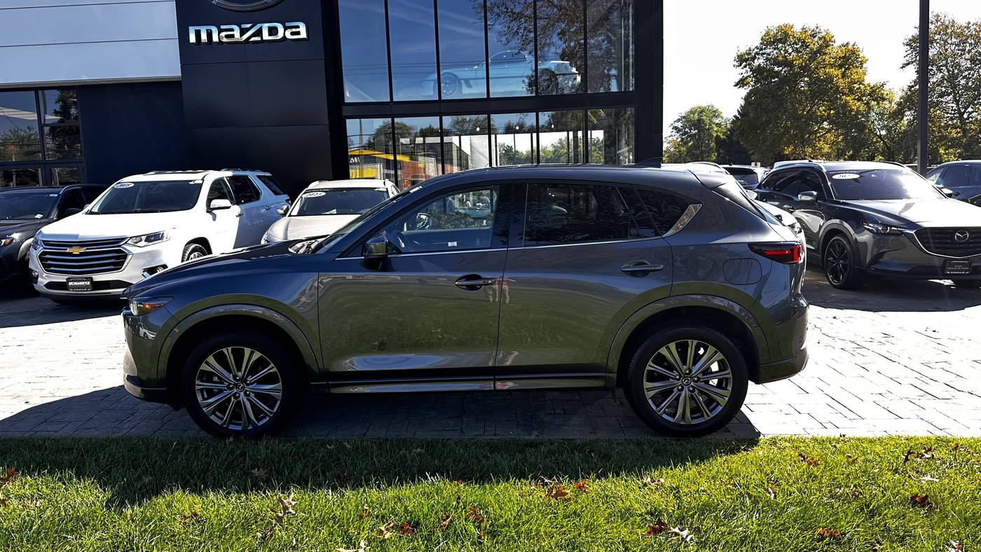 Thumbnail 4