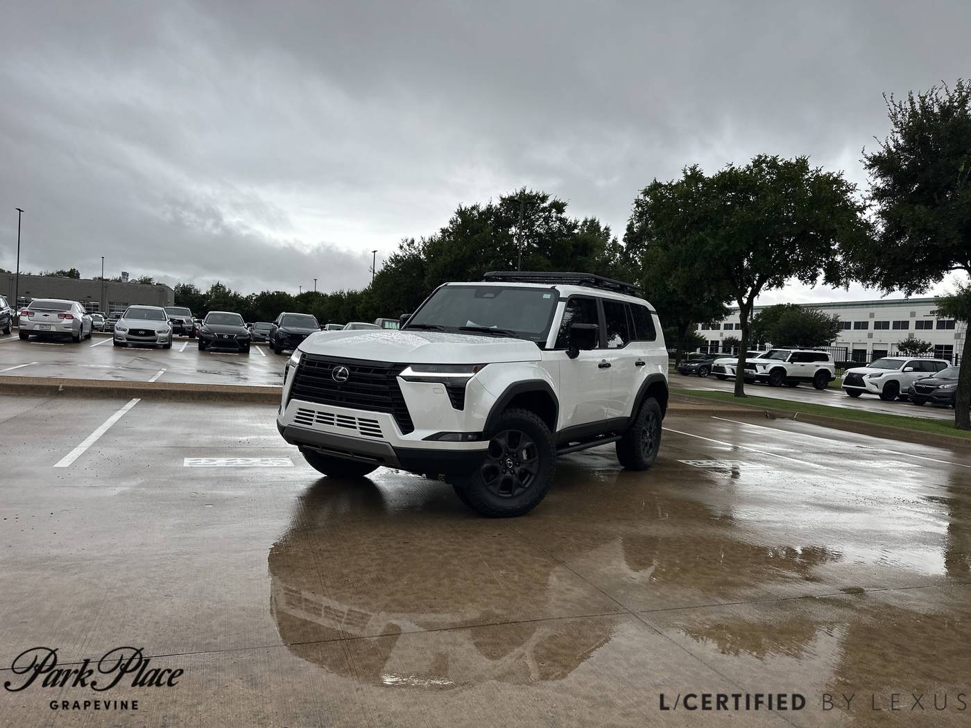 2025 Lexus GX GX 550 Overtrail — SUV — 142 mi — Grapevine, TX