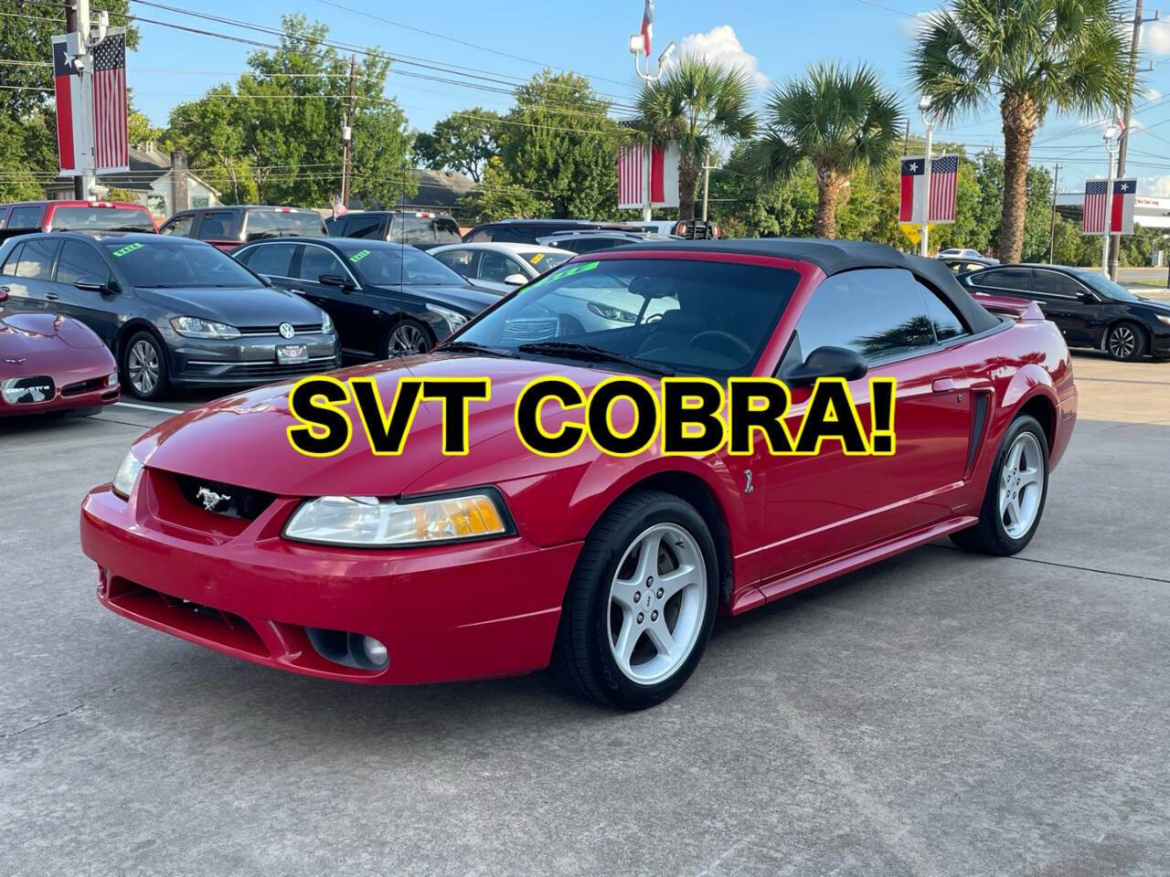 1999 Ford Mustang SVT Cobra Base