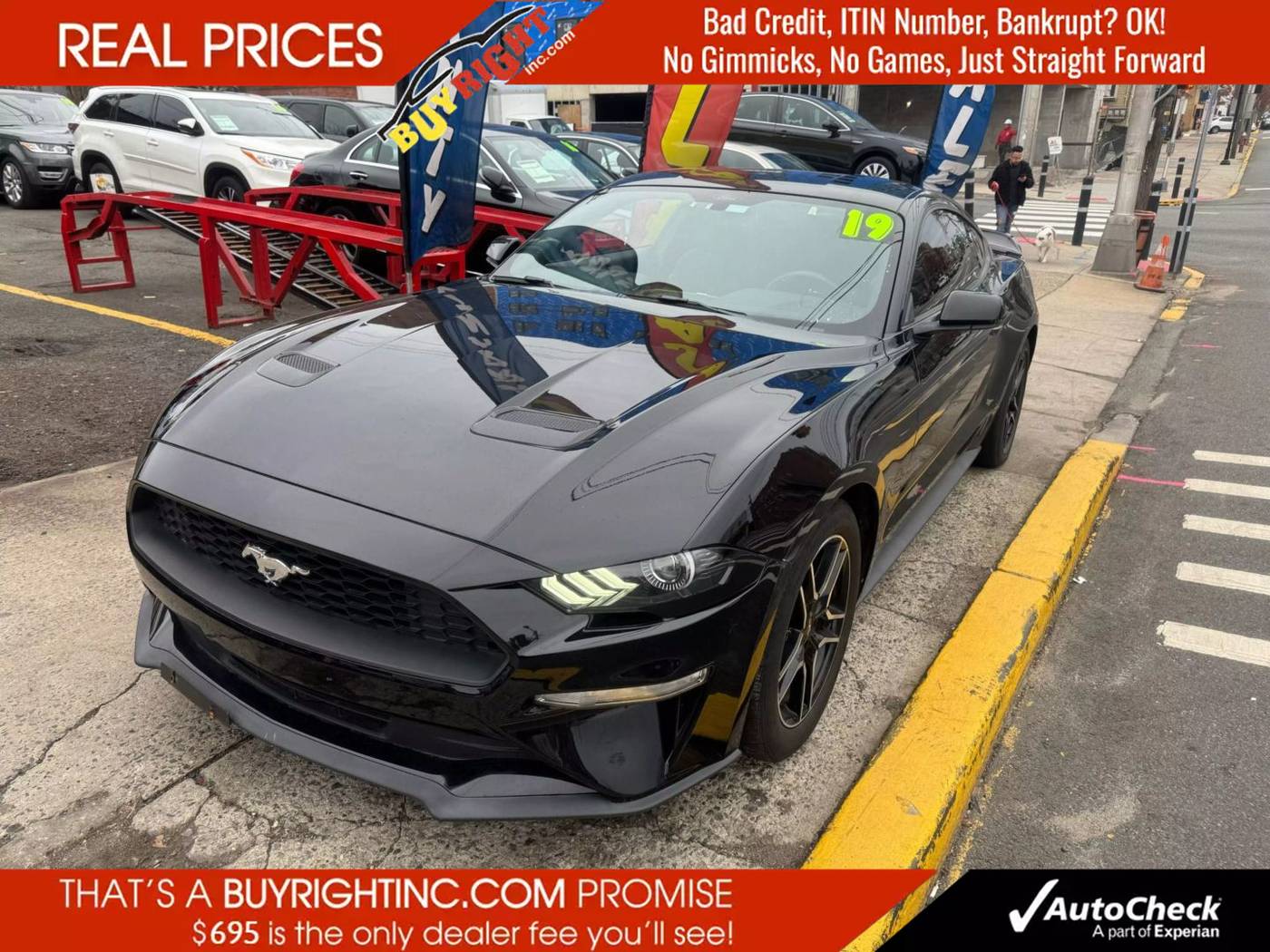 2019 Ford Mustang EcoBoost — Coupe — 46,293 mi — Union City, NJ
