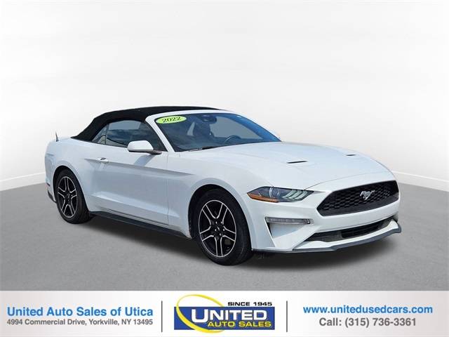 2022 Ford Mustang EcoBoost Premium — Convertible — 52,754 mi — Yorkville, NY