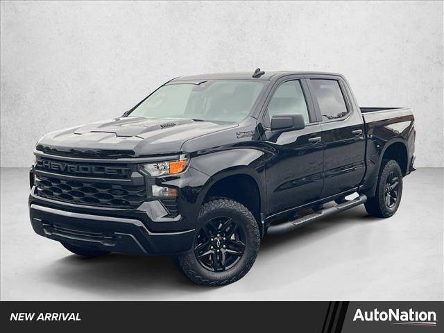 2025 Chevrolet Silverado 1500 Custom Trail Boss — Pickup Truck — 11,110 mi — Buford, GA