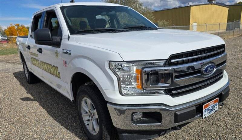 2019 Ford F-150 XLT — Pickup Truck — 132,865 mi — Albuquerque, NM