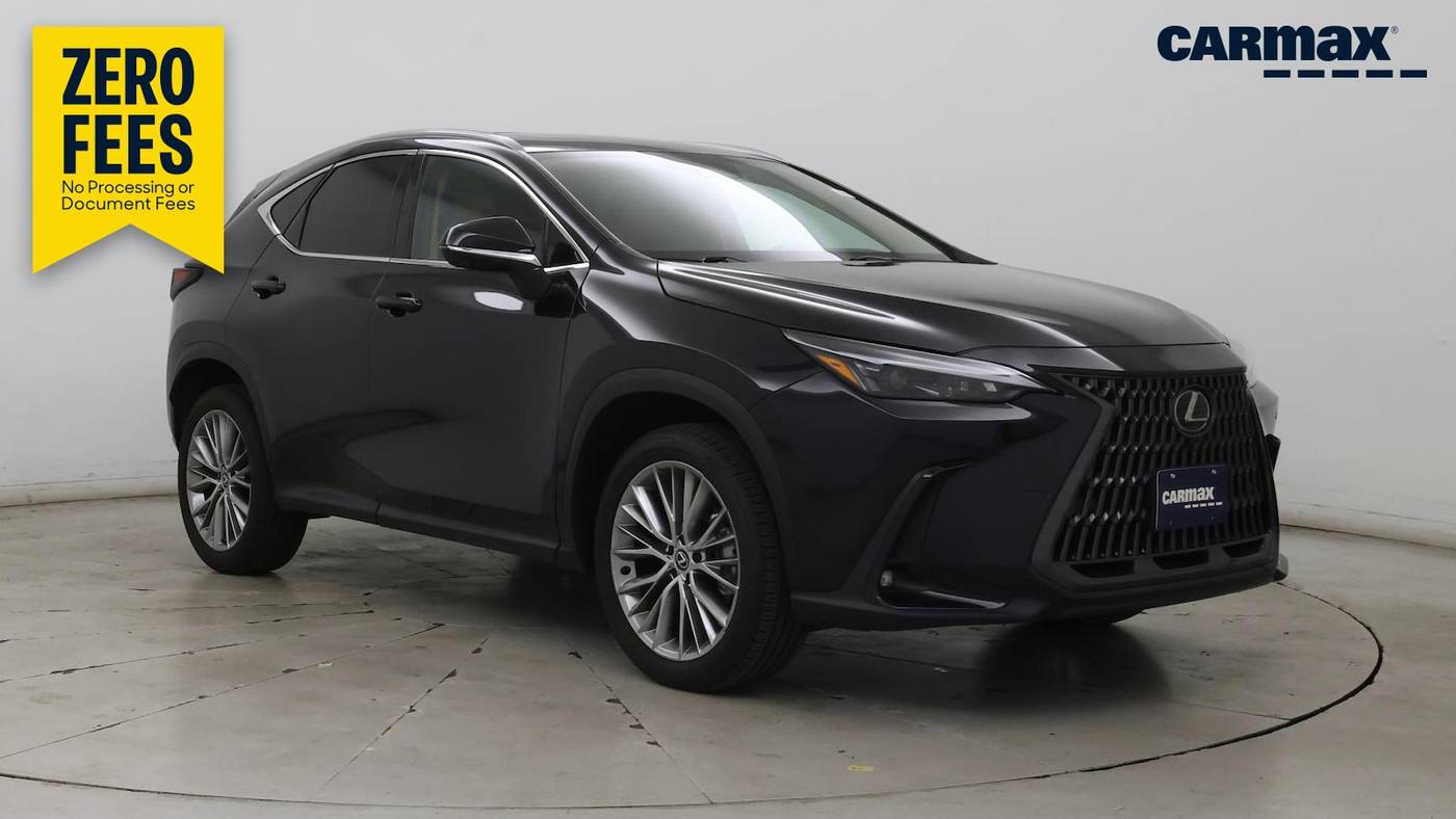 Used Lexus NX for Sale in Williamsburg, VA (with Photos) - TRUECar