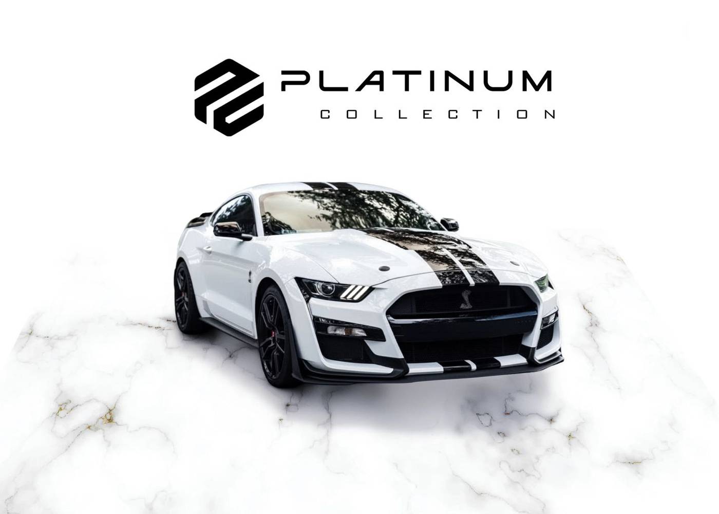 2022 Ford Mustang Shelby GT500