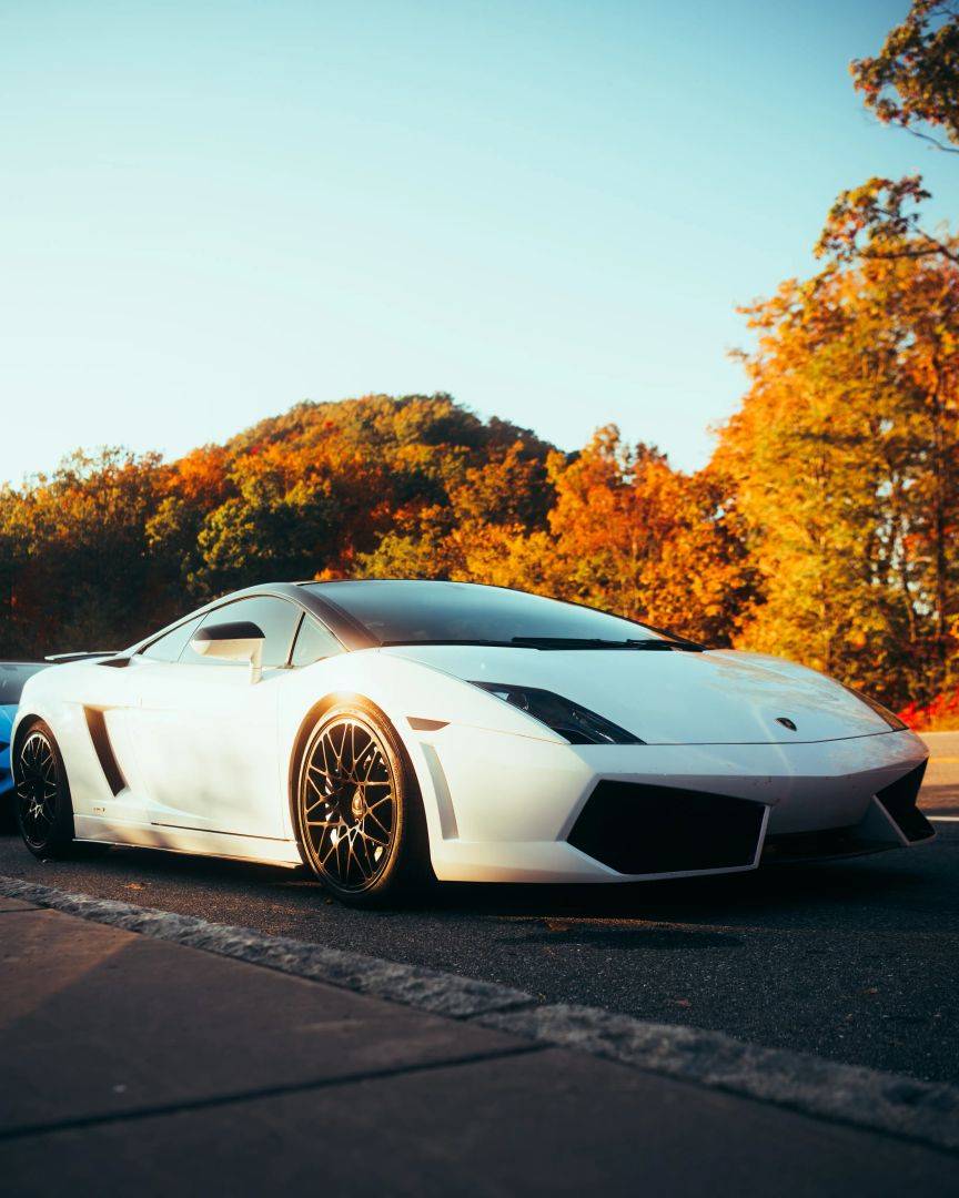 2012 Lamborghini Gallardo LP550-2 Bicolore