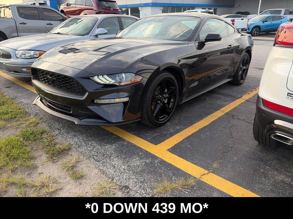 2023 Ford Mustang EcoBoost