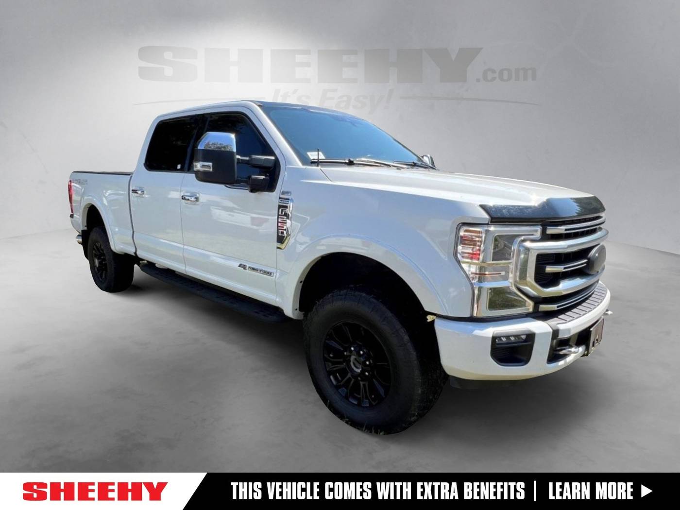 2020 Ford Super Duty F-250 Platinum — Pickup Truck — 80,429 mi — Ashland, VA