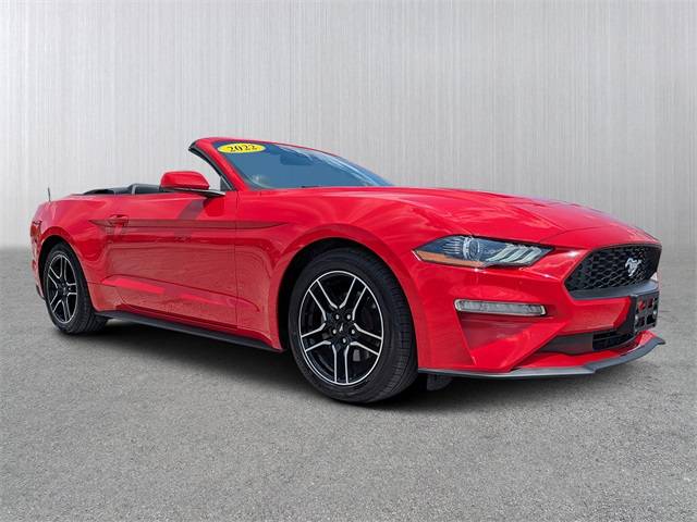 2022 Ford Mustang EcoBoost Premium — Convertible — 53,385 mi — Gainesville, FL