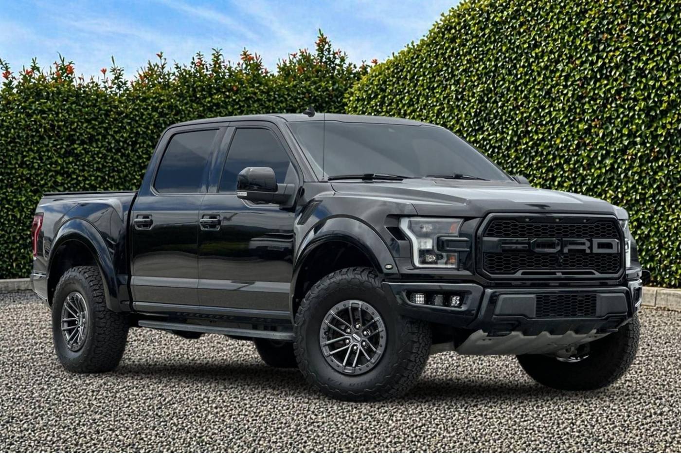 2019 Ford F-150 Raptor