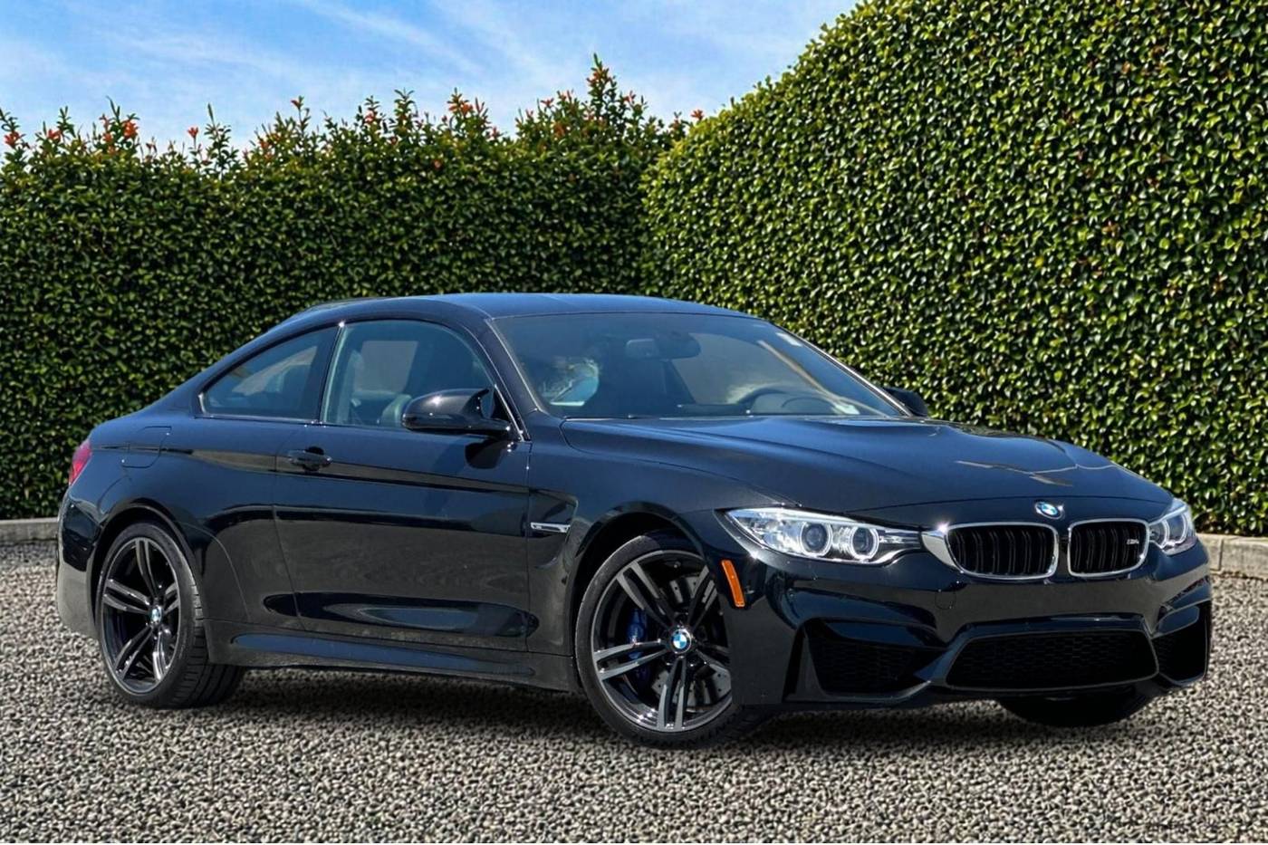 2015 BMW M4 Standard