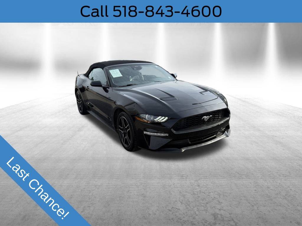 2023 Ford Mustang EcoBoost Premium — Convertible — 50,320 mi — Amsterdam, NY
