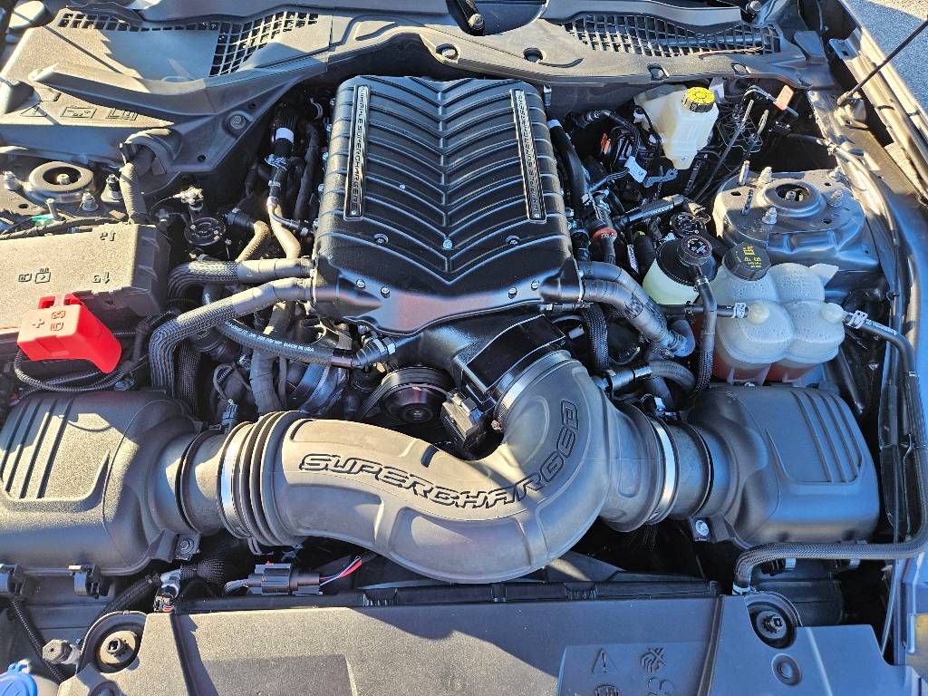 2024 Ford Mustang GT Premium — Coupe — 4,676 mi — Rockingham, NC