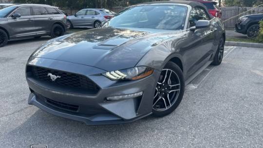 2023 Ford Mustang EcoBoost — Convertible — 59,456 mi — Seffner, FL