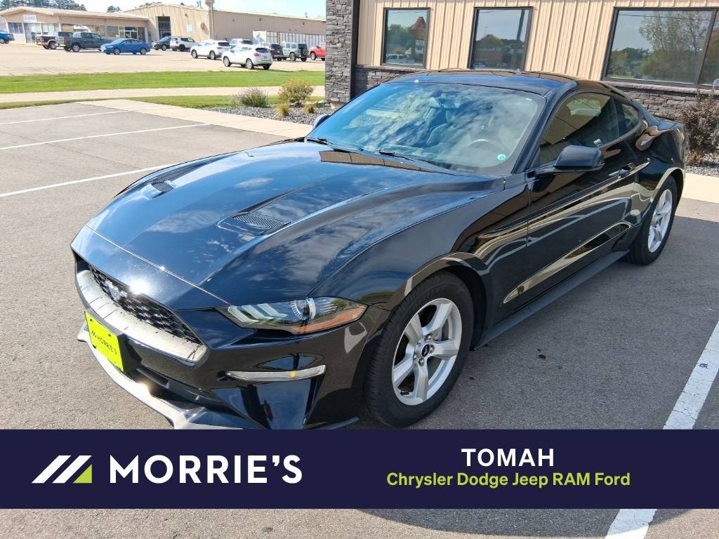 2019 Ford Mustang EcoBoost — Coupe — 75,955 mi — Tomah, WI