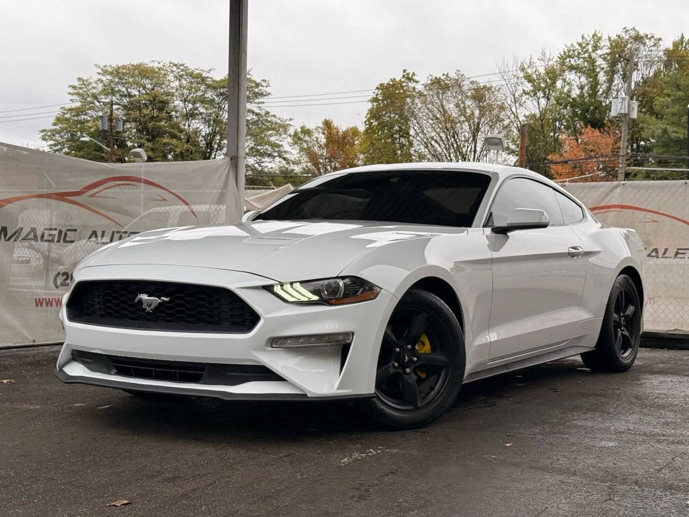 2019 Ford Mustang EcoBoost — Coupe — 79,706 mi — Little Ferry, NJ