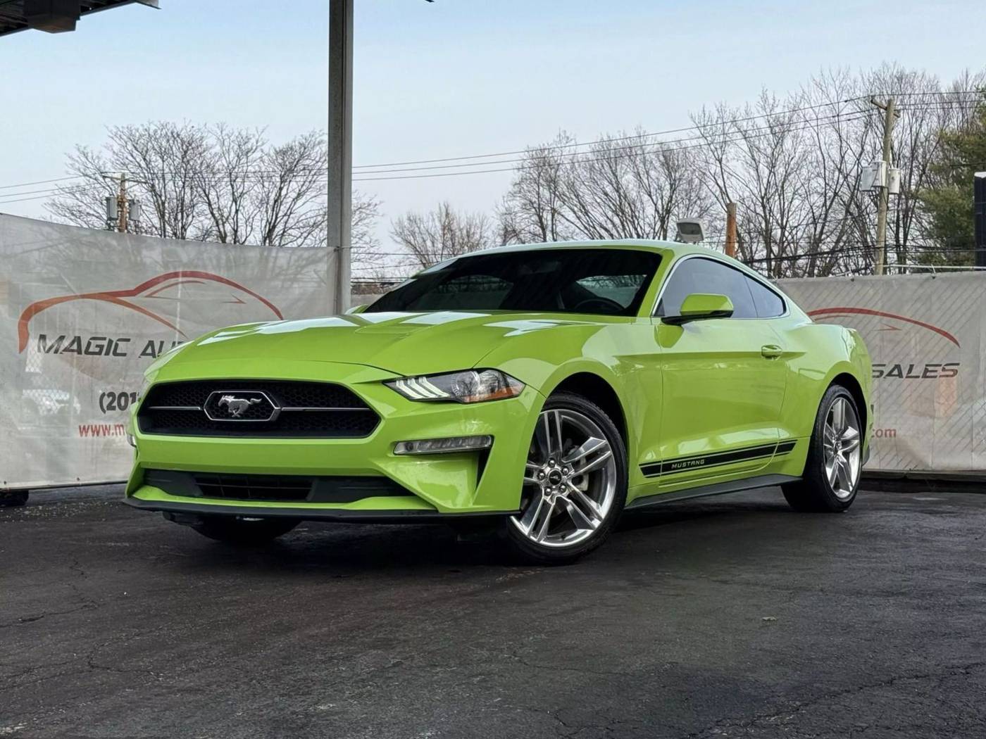 2020 Ford Mustang EcoBoost Premium — Coupe — 55,838 mi — Little Ferry, NJ