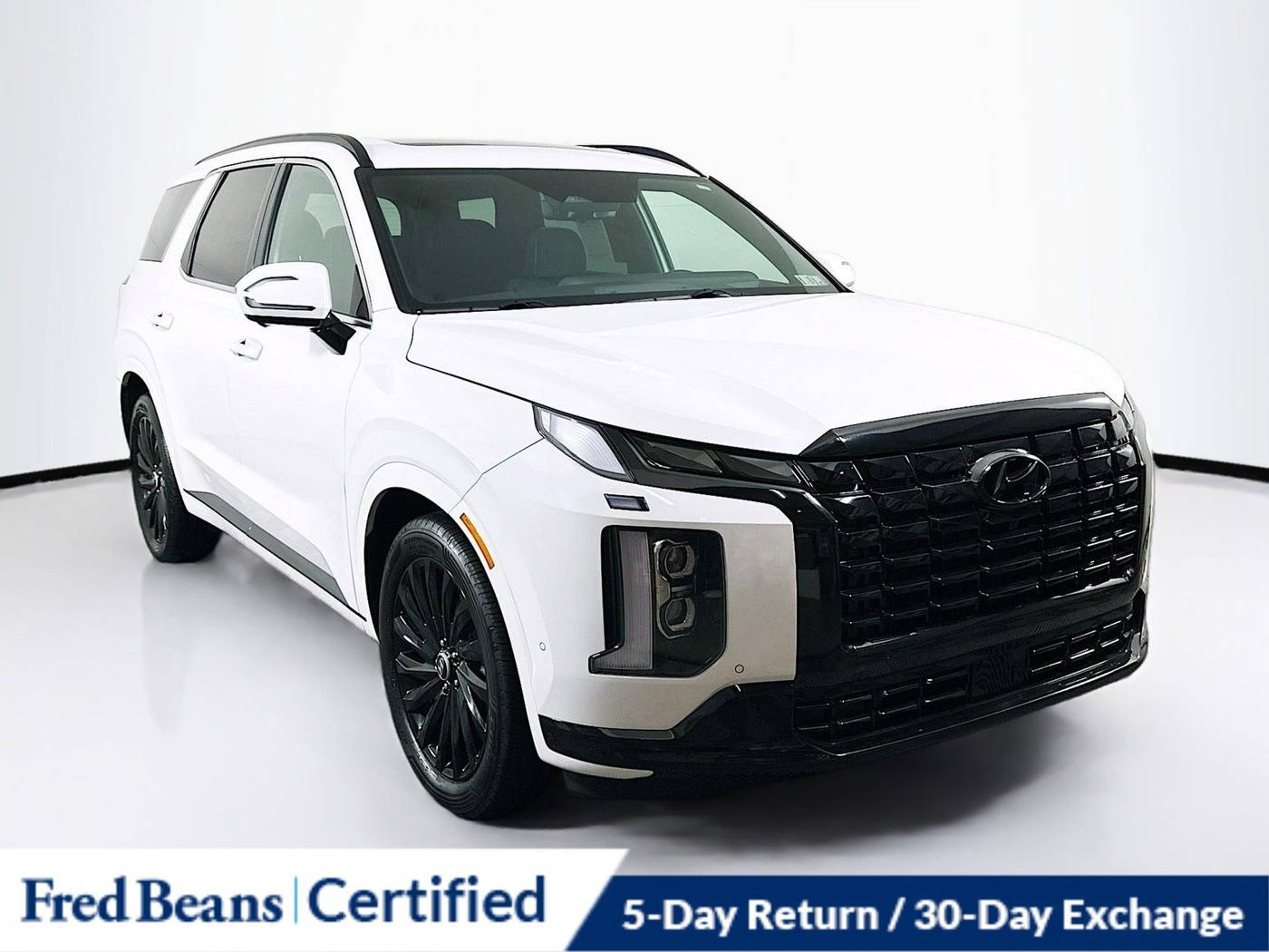 2024 Hyundai Palisade Calligraphy Night Edition — SUV — 16,471 mi — Doylestown, PA