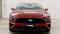 2020 Ford Mustang in WARWICK, RI 5 - Open Gallery