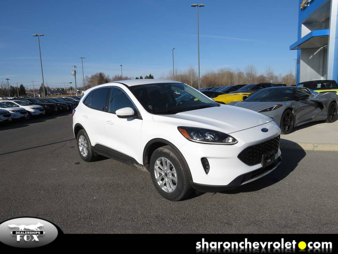 2020 Ford Escape SE — SUV — 29,939 mi — Liverpool, NY