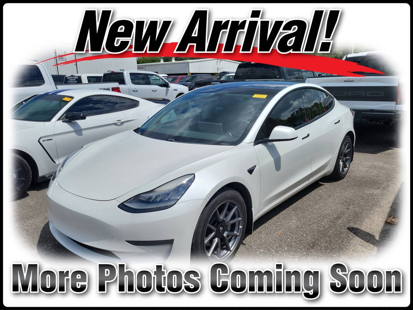 2021 Tesla Model 3 Standard Range Plus — Sedan — 58,810 mi — Jacksonville, FL