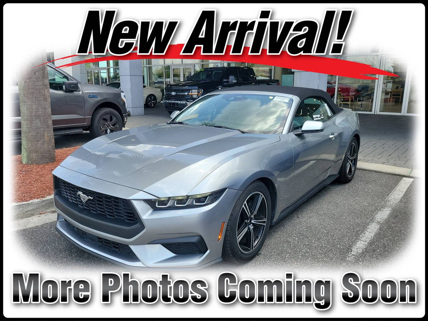 2024 Ford Mustang EcoBoost Premium — Convertible — 26,406 mi — Jacksonville, FL
