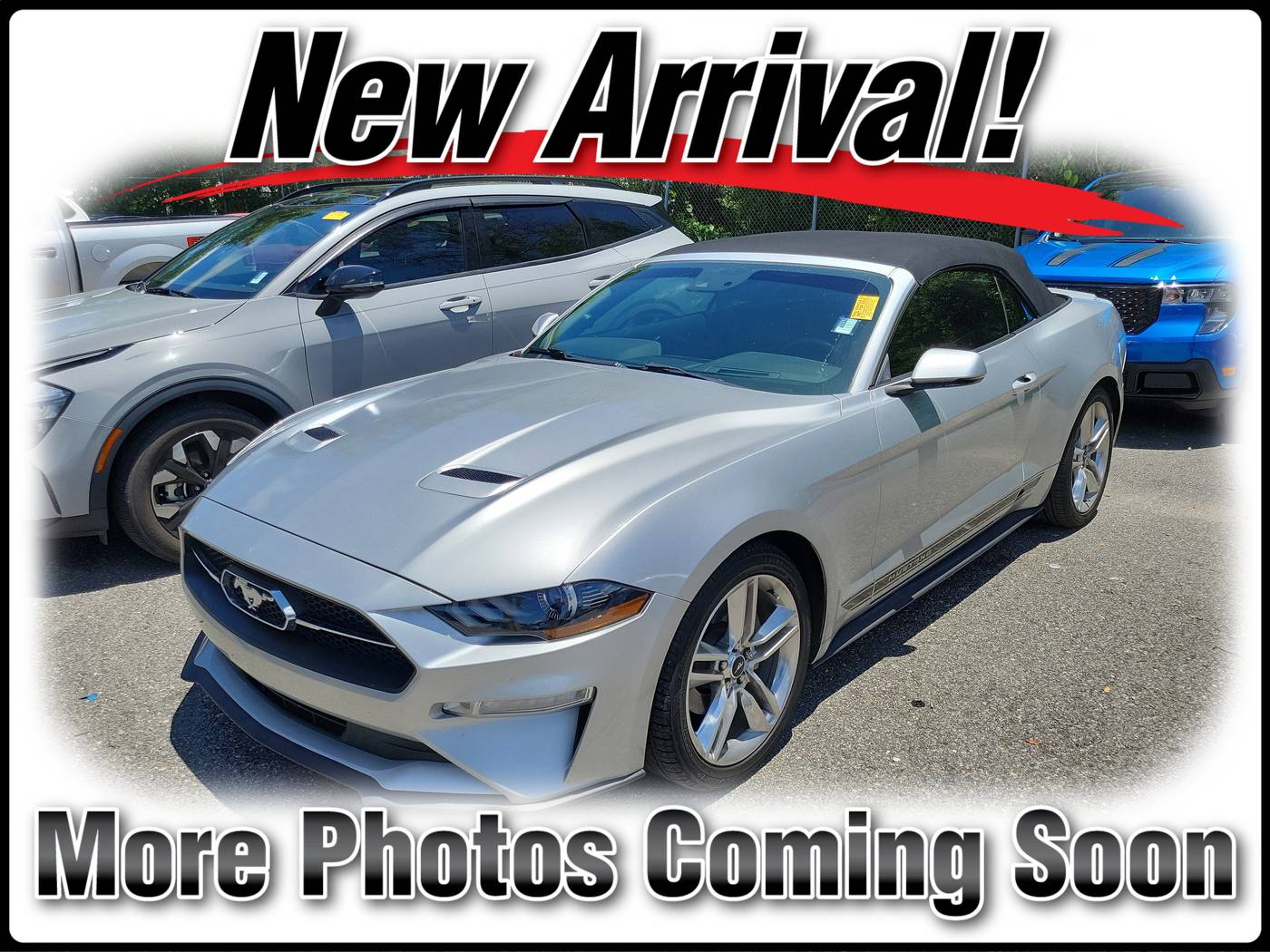 2019 Ford Mustang EcoBoost Premium — Convertible — 48,818 mi — Jacksonville, FL