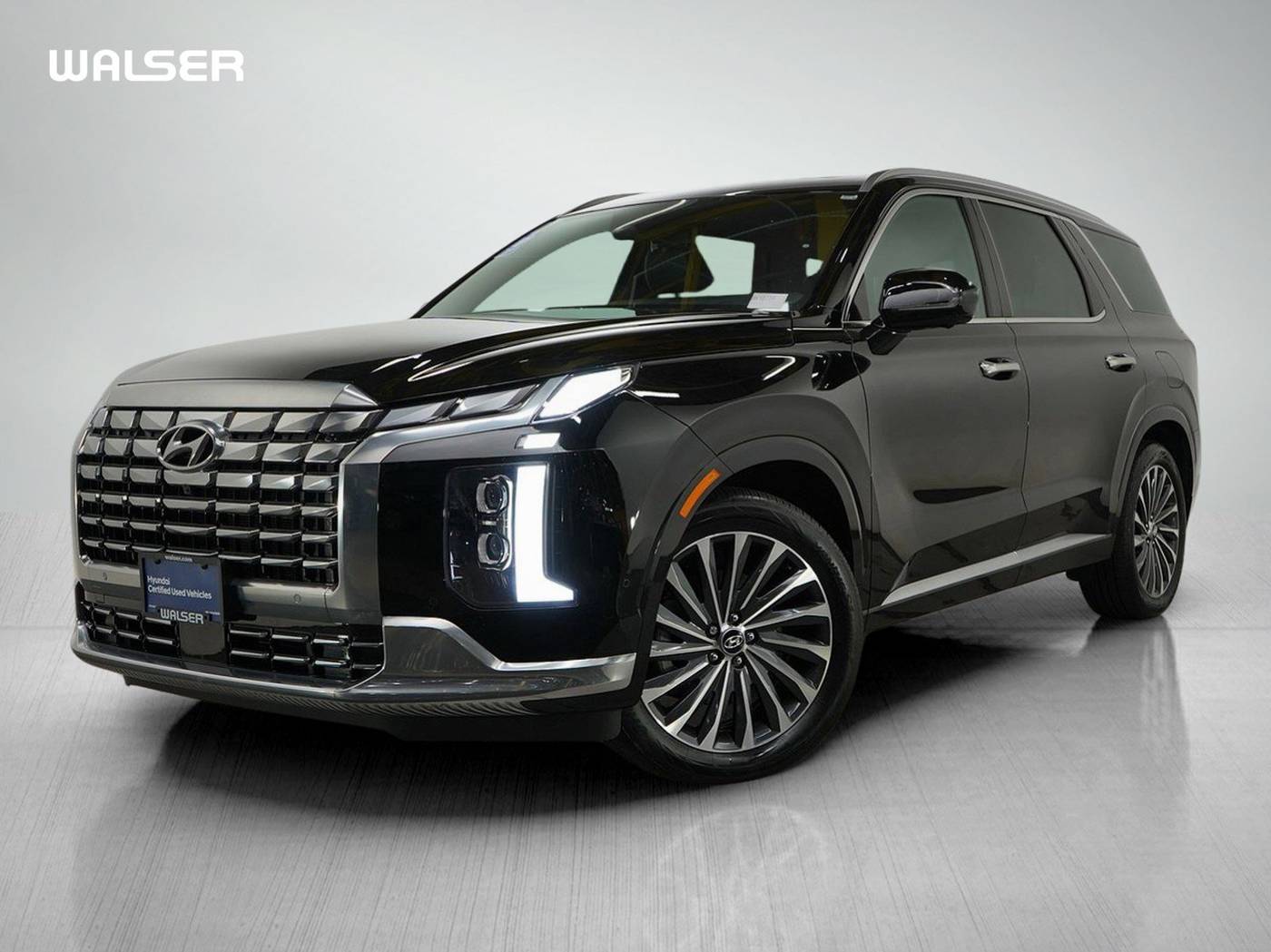 2025 Hyundai Palisade Calligraphy — SUV — 9,458 mi — Brooklyn Park, MN