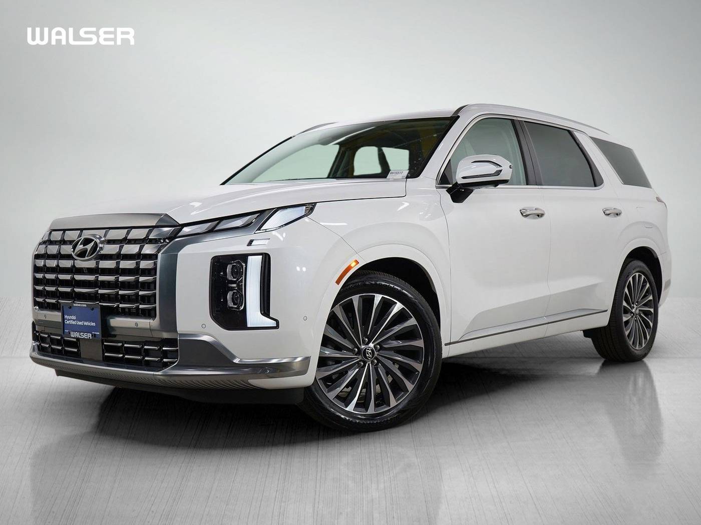 2024 Hyundai Palisade Calligraphy — SUV — 19,472 mi — Brooklyn Park, MN