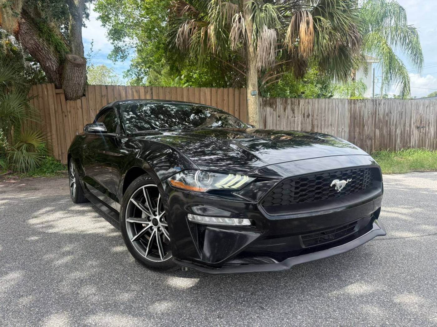 2019 Ford Mustang EcoBoost Premium