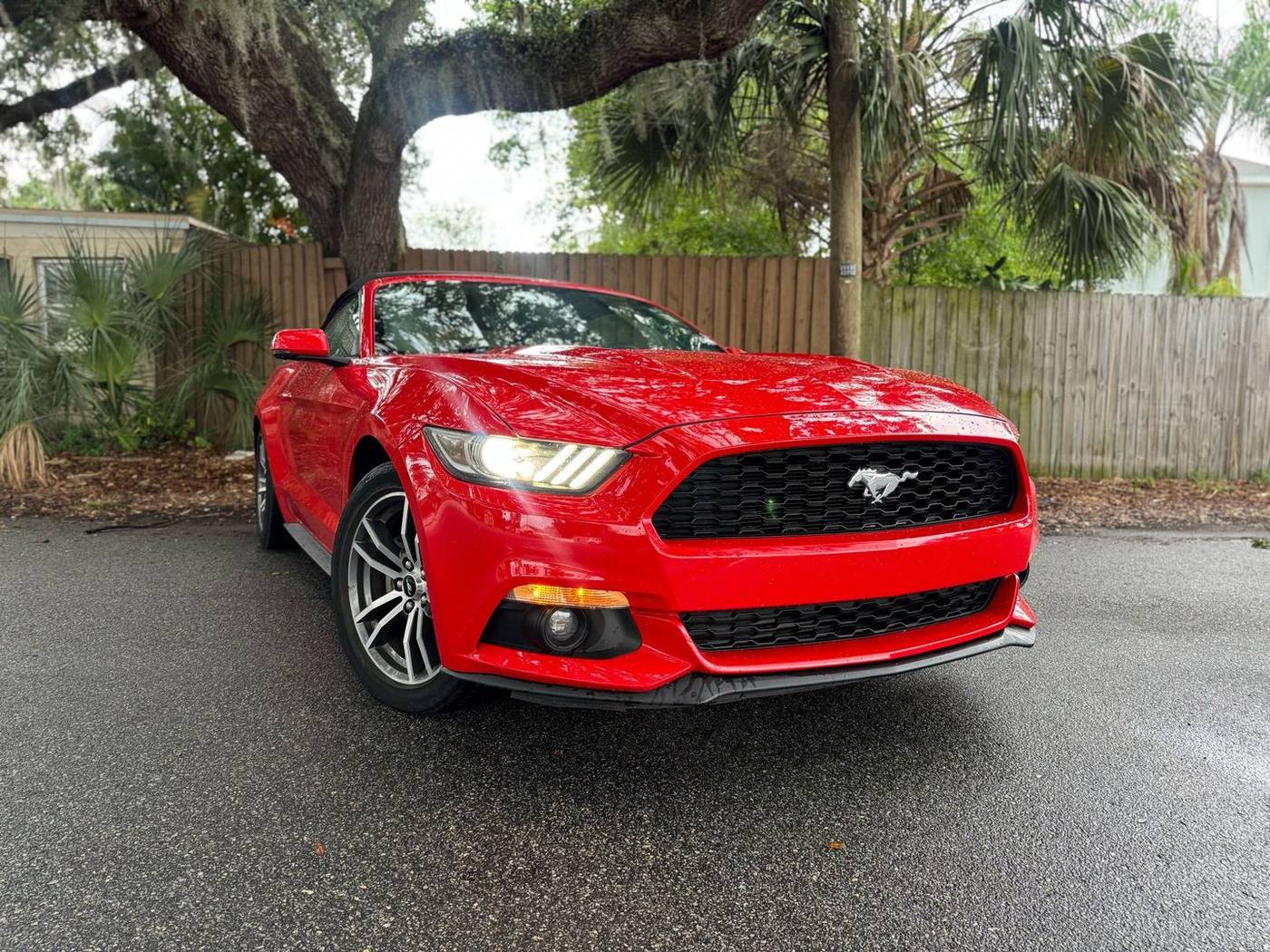 2016 Ford Mustang EcoBoost Premium — Convertible — 90,728 mi — Tampa, FL