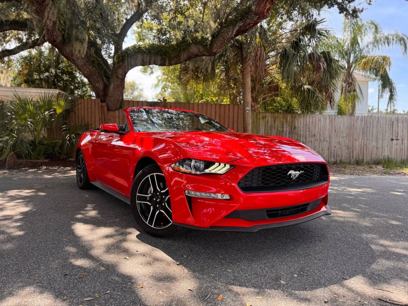 2020 Ford Mustang EcoBoost Premium — Convertible — 85,226 mi — Tampa, FL