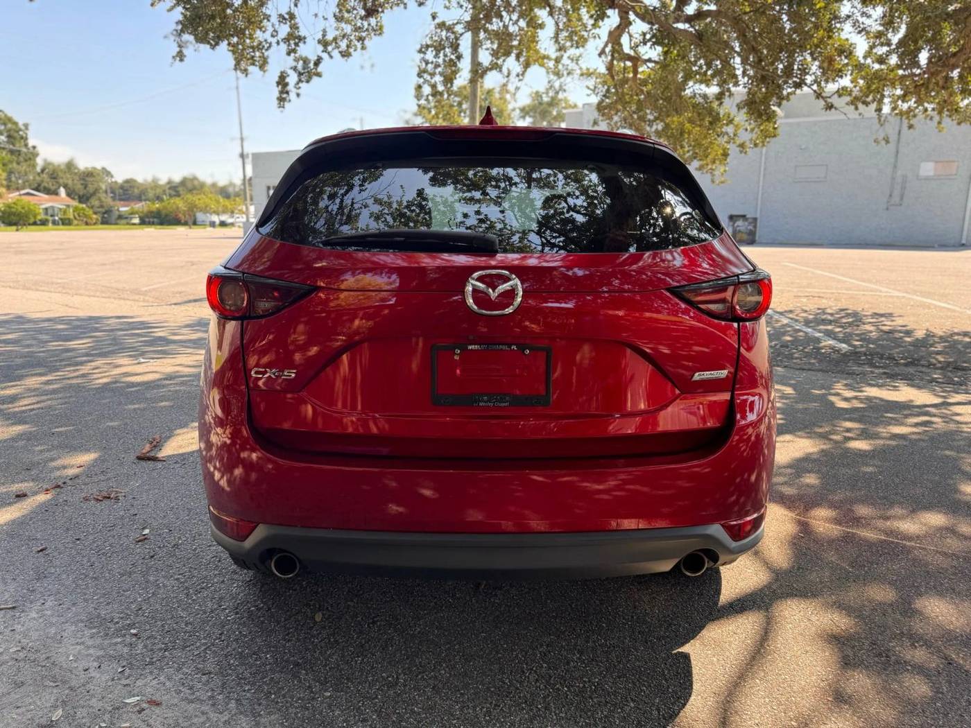Thumbnail 5