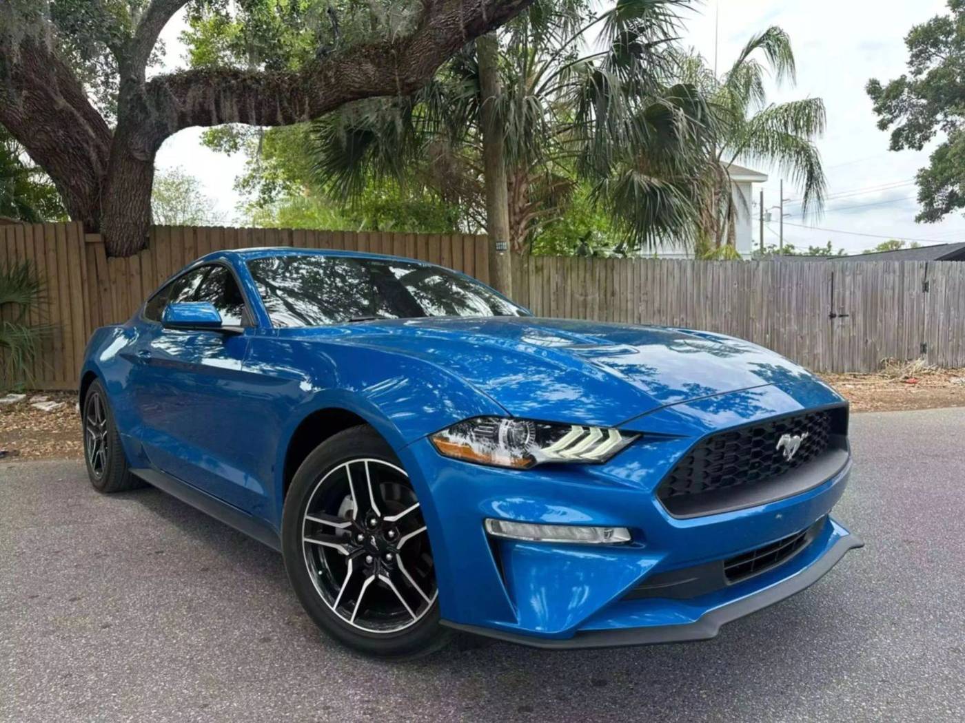 2021 Ford Mustang EcoBoost Premium — Coupe — 60,715 mi — Tampa, FL