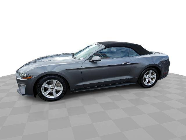 2023 Ford Mustang EcoBoost